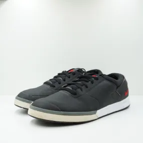 Nike SB Zoom FP Air Low