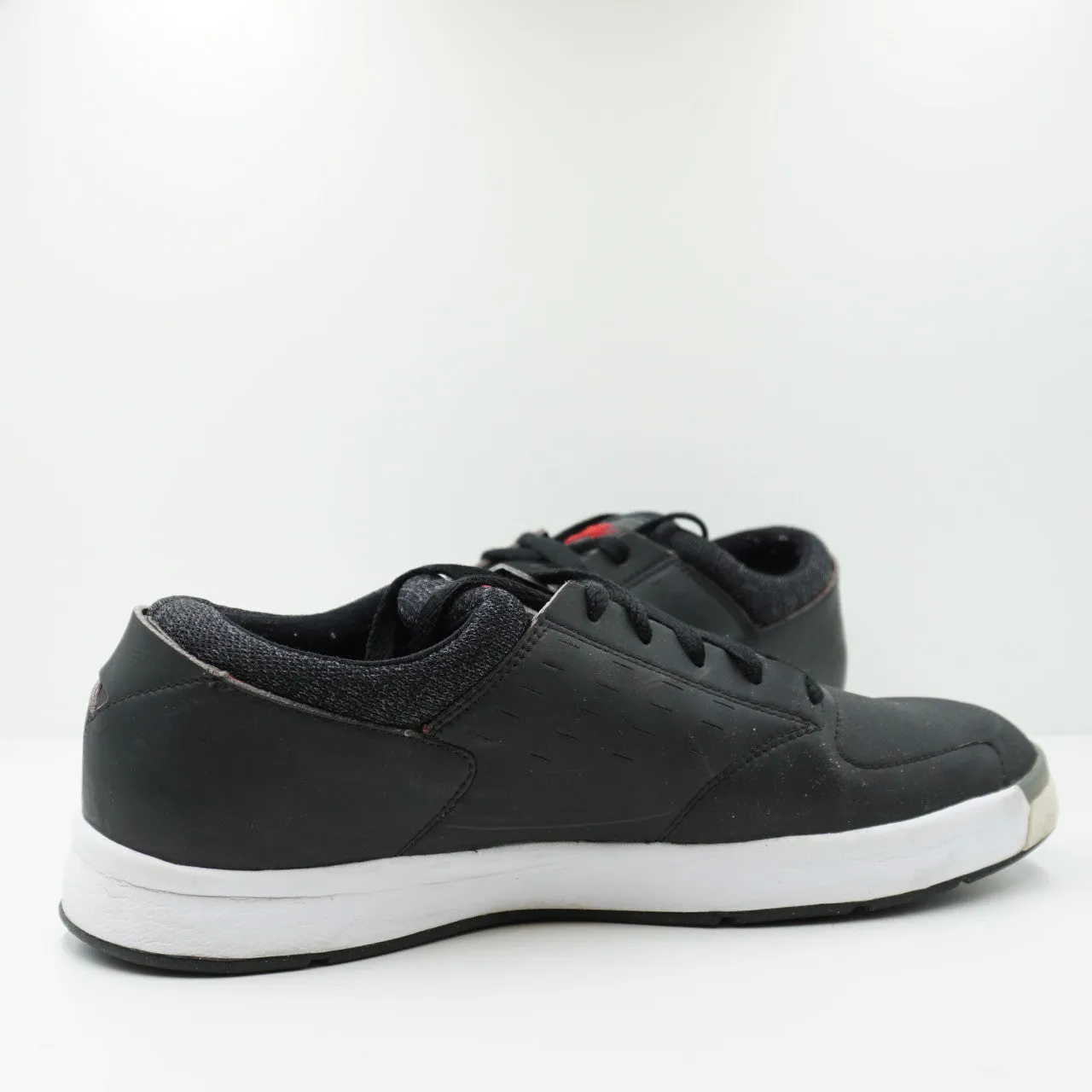 Nike SB Zoom FP Air Low