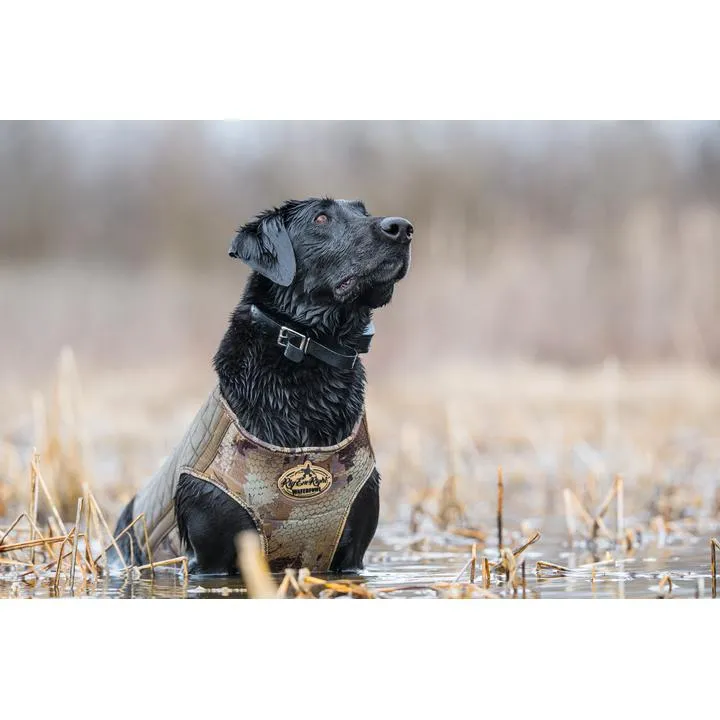 Rig 'Em Right Bloodline Dog Vest