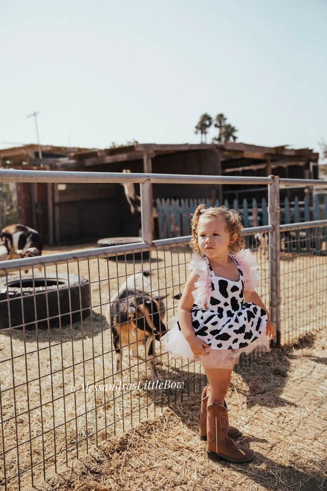 Vaquita Skirted Romper